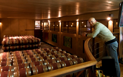 viaje_al_vino.jpg