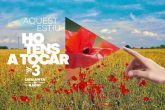 TV3 Estiu 2021 Ho tens a tocar