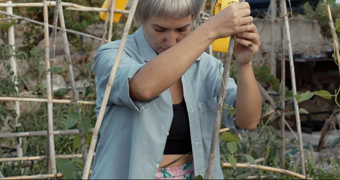 Antologia de l'atzar IB3